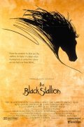 Черный скакун - Black Stallion (, 1980) Смотреть бесплатно