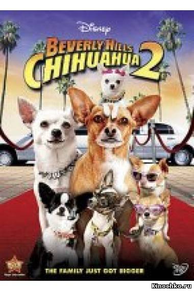 Фильм: Крошка из Беверли-Хиллз 2 - Beverly Hills Chihuahua 2