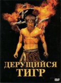 Дерущийся тигр - Kinta (, 2008) Смотреть бесплатно