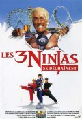 Фильм: Три ниндзя: Жаркий полдень - 3 Ninjas: High Noon at Mega Mountain