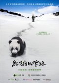 След панды - Xiong mao hui jia lu (2009, ) Смотреть бесплатно