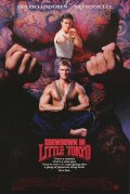 Разборки в маленьком Токио - Showdown in Little Tokyo (1991) Смотреть бесплатно