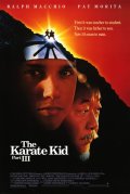 Парень каратист 3 - Karate Kid, Part III (1989) Смотреть бесплатно