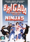 Взрывная бригада против ниндзя - Brigada explosiva contra los ninjas (1986) Смотреть бесплатно