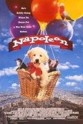 Наполеон - Napoleon (1995) Смотреть бесплатно