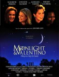 Фильм: Лунный свет Валентина - Moonlight and Valentino