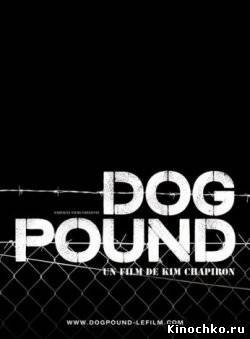 Фильм: Загон для собак - Dog pound