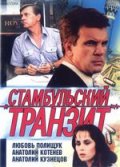 Фильм: Стамбульский транзит