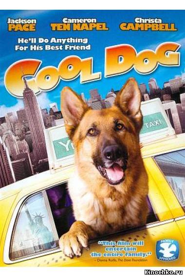 Крутой пес - Cool Dog (, 2010) Смотреть бесплатно