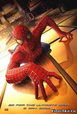 Человек паук - Spider Man (, 2002) Смотреть бесплатно