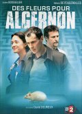 Цветы для Алджернона (2006) Смотреть бесплатно