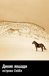 Фильм: Дикие лошади острова Сейбл - Sable Island Wild Horses